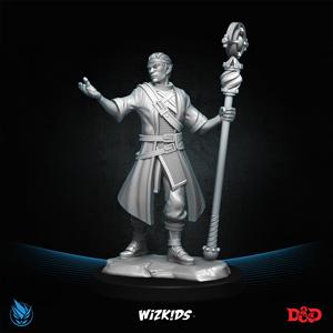 Male Half-Elf Wizard - Low 3D MINIATURE D&D